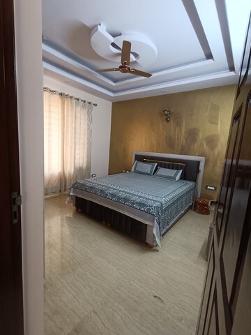 3 BHK Builder Floor For Rent in Ansal Plaza Sector-23, Sector 23