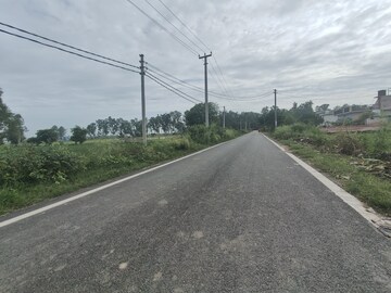 Plot Area in  Land at Ramnagar – for Sale