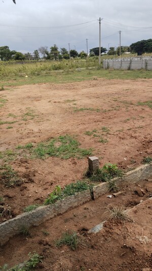  Plot For Sale in Sarjapur