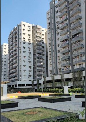 2 BHK Apartment For Rent in Jains Carlton Creek, Manikonda