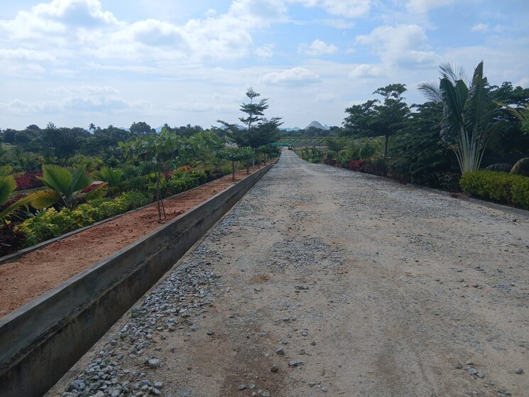 undefined, chikkaballapur  2400 Sq.Ft. Plot In Chikkaballapur Bangalore 9603384