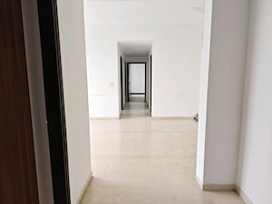 2 BHK Apartment For Rent in Umang Winter Hills, Sector 77