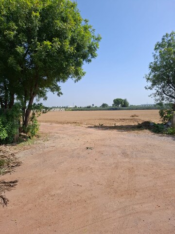 Plot Area in  Land at Pataudi – for Sale