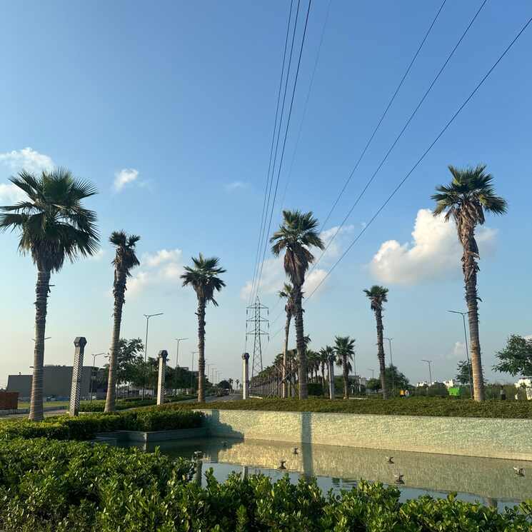 Garden, tdi city 3 Bedroom 1260 Sq.Ft. Builder Floor In Tdi City Panipat 9603445