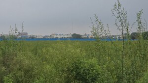 Plot Area in  Land at Pataudi – for Sale