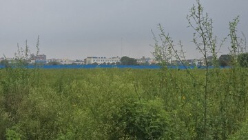 Plot Area in  Land at Pataudi – for Sale