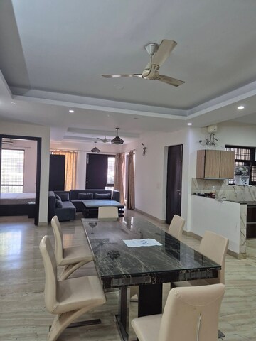 Living Room in 3 BHK Builder Floor at Ansal Plaza Sector-23, Sector 23 – for Rent