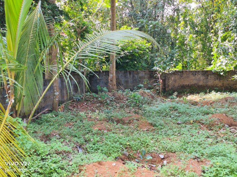 Garden, pattom  2180 Sq.Ft. Plot In Pattom Thiruvananthapuram 9604151