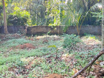 Plot Area in  Plot at Pattom – for Sale