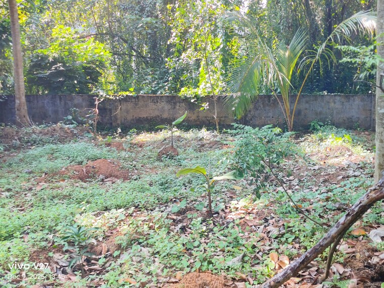undefined, pattom  2180 Sq.Ft. Plot In Pattom Thiruvananthapuram 9604151