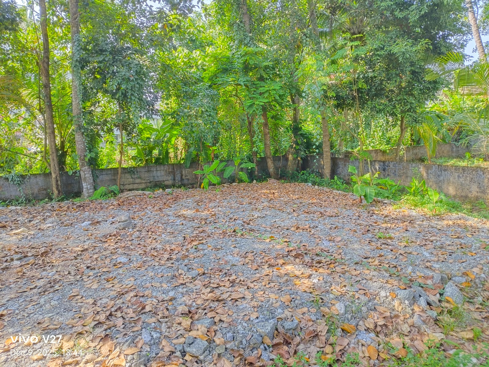 Plot For Sale in Pattom