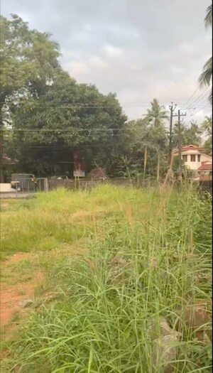 Plot Area in  Land at Kuriachira – for Sale