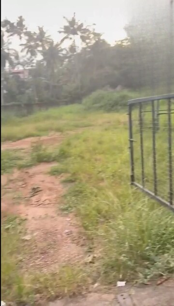 Plot Area in  Land at Kuriachira – for Sale
