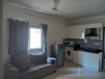 1 BHK Apartment For Rent in Halasuru