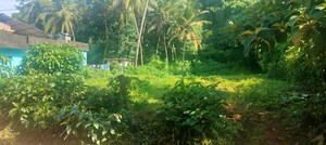  Plot – Garden View at Amala Nagar - for Sale