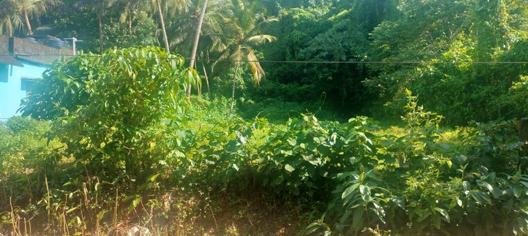 Garden, amala nagar  7405 Sq.Ft. Plot In Amala Nagar Thrissur 9604645