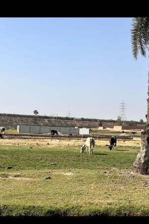 Plot Area in  Plot at Kisan Path – for Sale