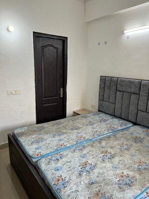 1 BHK Apartment For Rent in Amrapali Princely Estate, Sector 76