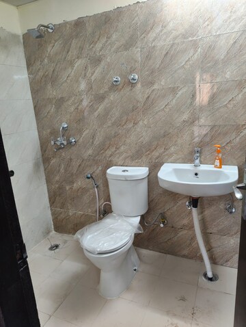 Bathroom in 2 BHK Apartment at Amrapali Dream Valley, Tech Zone 4 Greater Noida – for Rent