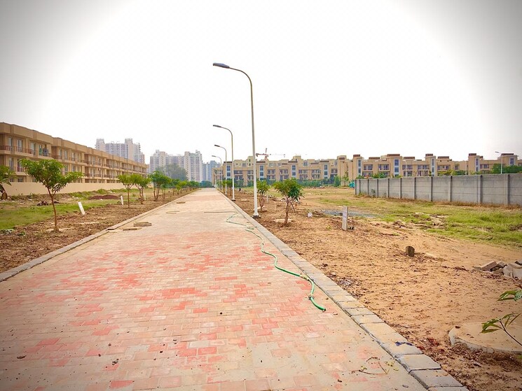 undefined, parklands  350 Sq.Yd. Plot In Sector 85 Faridabad 9605185