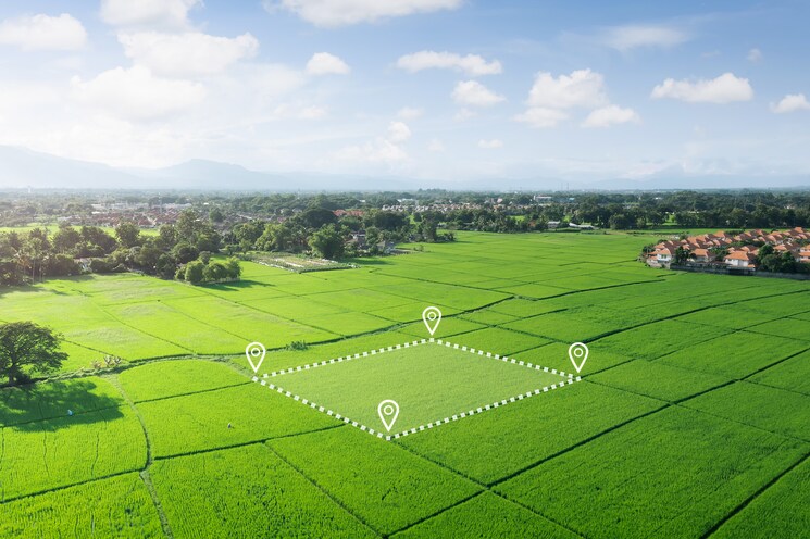 Garden, landmark-avana  155 Sq.Yd. Plot In Sector 95 Gurgaon 9578845