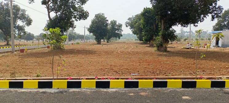 undefined, jammu narayanapuram  200 Sq.Yd. Plot In Jammu Narayanapuram Vizianagaram 9579041