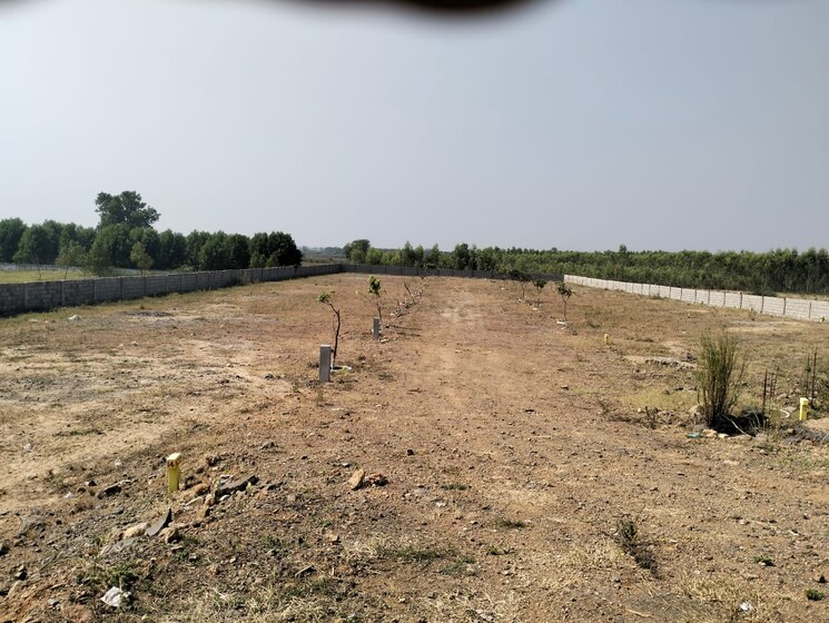 undefined, paritala Commercial Land 150 Sq.Yd. In Paritala Vijayawada 9607240
