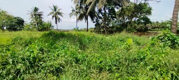 Plot Area in  Land at Kunnamkulam – for Sale
