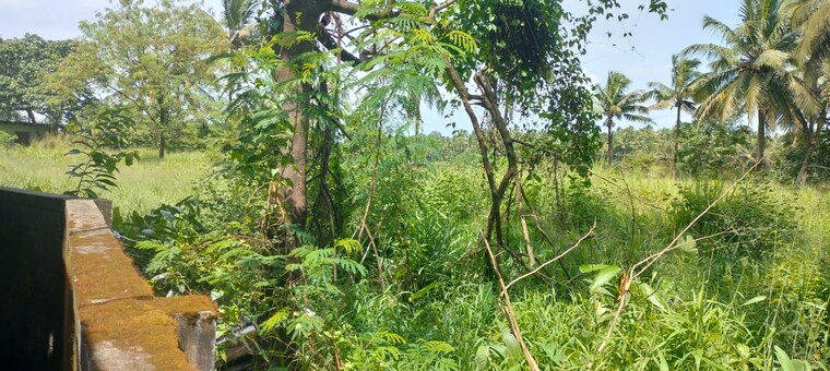 Garden, kunnamkulam Commercial Land 45738 Sq.Ft. In Kunnamkulam Thrissur 9606656