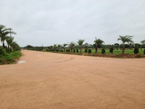  Plot For Sale in Zaheerabad