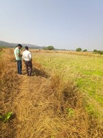 1089 Sq.Ft. Industrial Plot in Vindhane