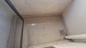  3 BHK Apartment at Benchmark Silver Leaf, Kandivali East – for Rent