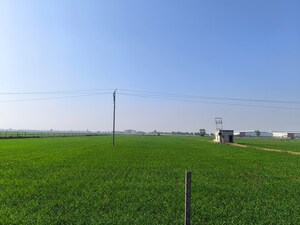  Land For Sale in Pataudi