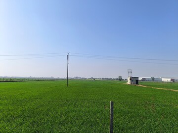  Land For Sale in Pataudi