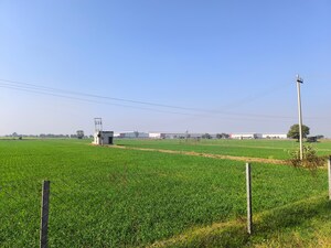 Plot Area in  Land at Pataudi – for Sale