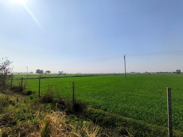 Plot Area in  Land at Pataudi – for Sale