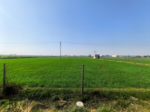 Plot Area in  Land at Pataudi – for Sale