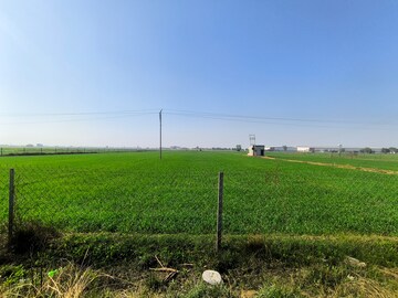 Plot Area in  Land at Pataudi – for Sale
