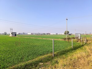 Plot Area in  Land at Pataudi – for Sale