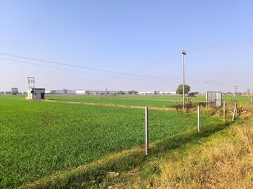 Plot Area in  Land at Pataudi – for Sale