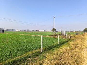 Plot Area in  Land at Pataudi – for Sale