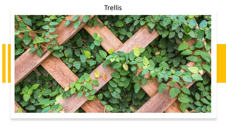 Master Plan, hadapsar 2 Bedroom 757 Sq.Ft. Apartment In Hadapsar Pune 9607974