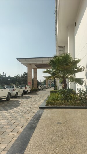 3 BHK Apartment For Rent in Omaxe Royal Residency Faridabad, Sector 79