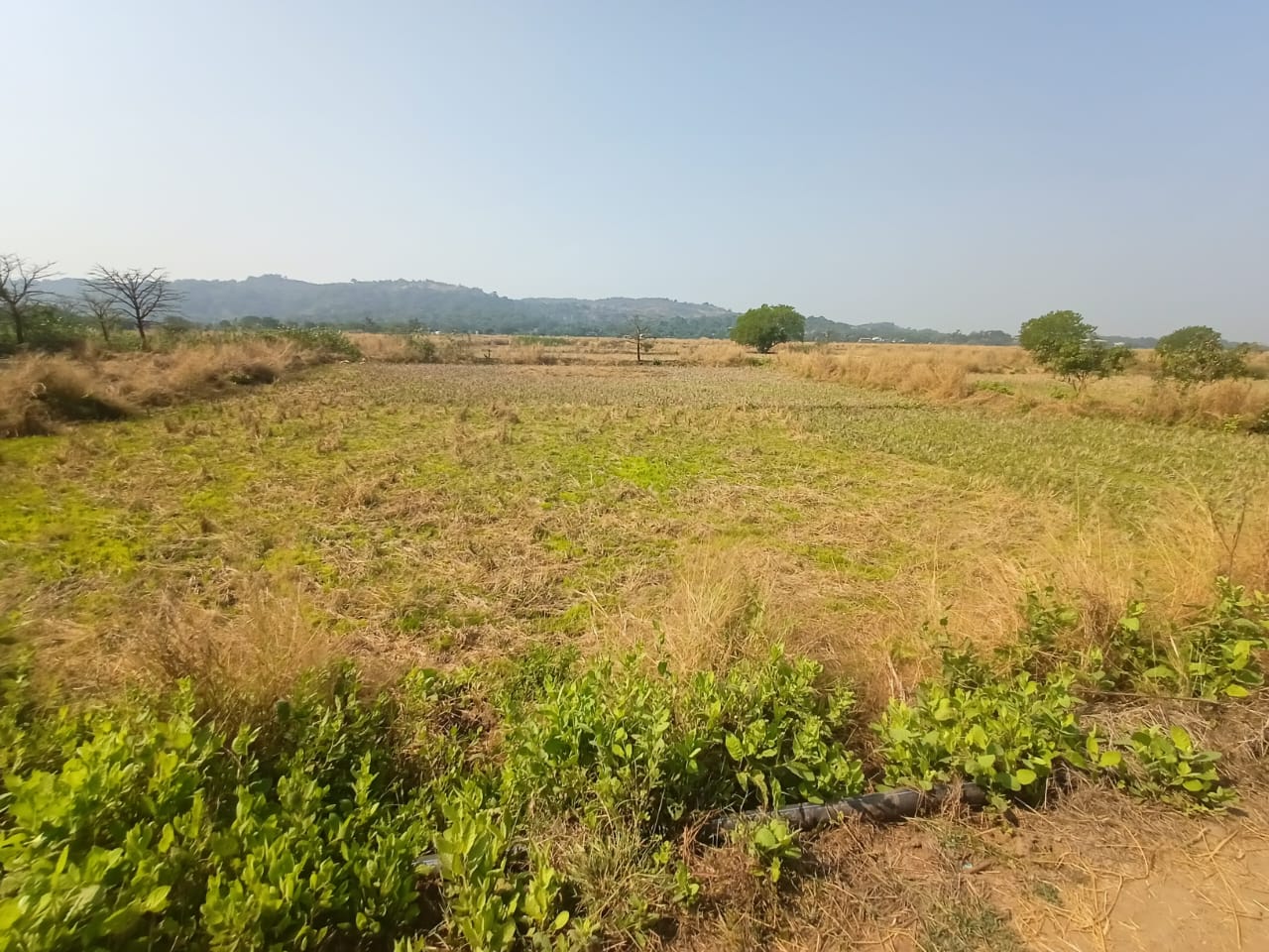 Plot For Sale in New Panvel East
