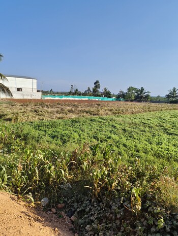 Plot for Sale in Devanahalli, Bangalore