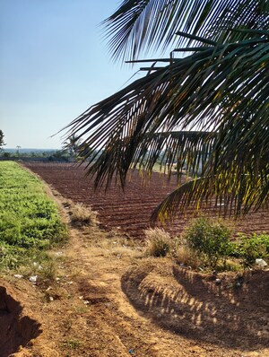 Plot Area in  Plot at Devanahalli – for Sale