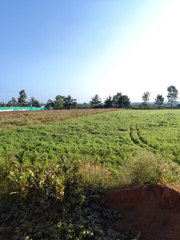 Plot Area in  Plot at Devanahalli – for Sale