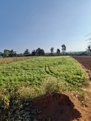  Plot – Garden View at Devanahalli - for Sale