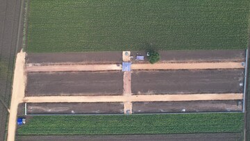 Plot Area in  Plot at Ashok Nagar – for Sale