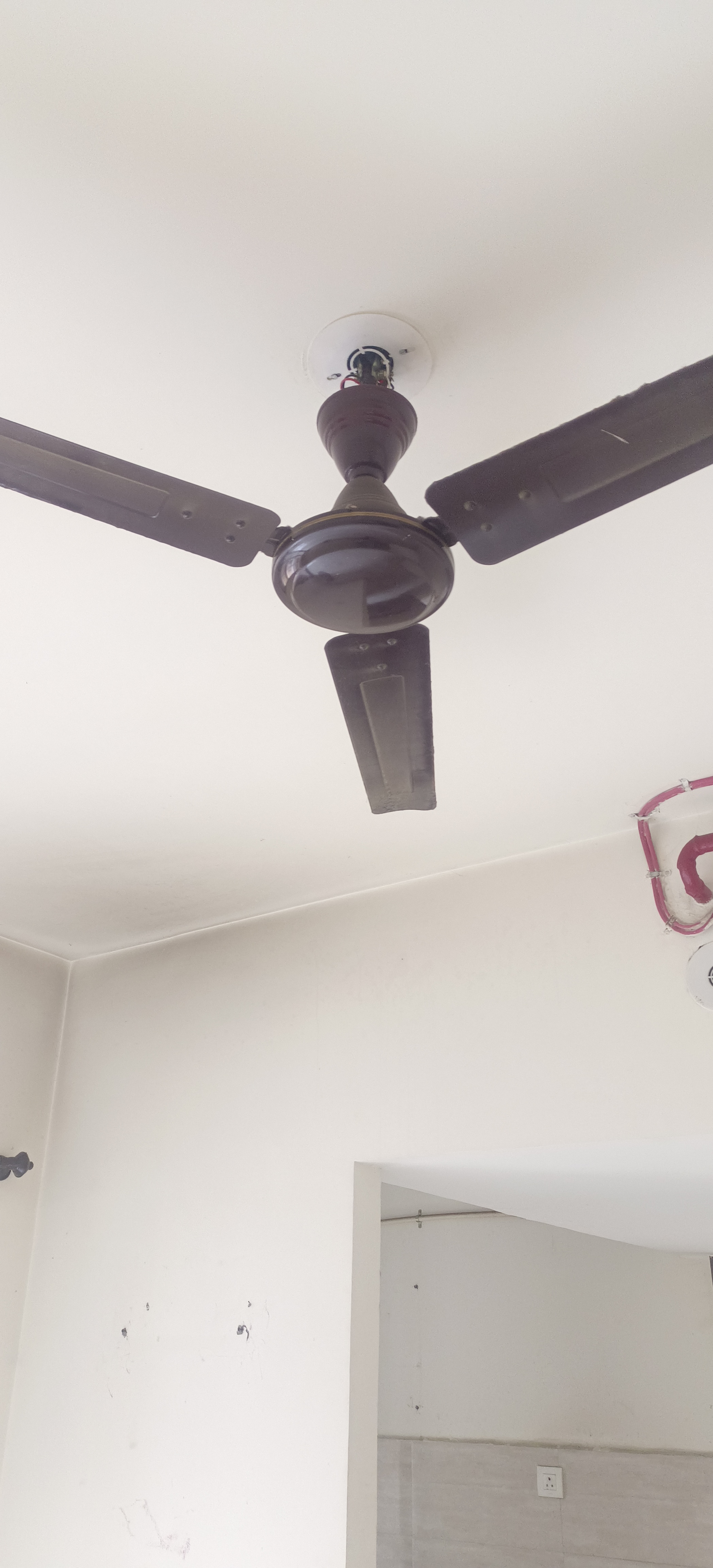 1 BHK Apartment For Rent in Sunteck Maxxworld 2